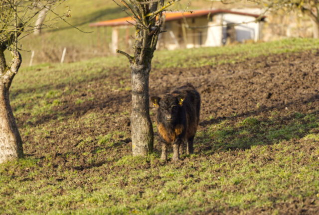 Na, wer ist denn da?