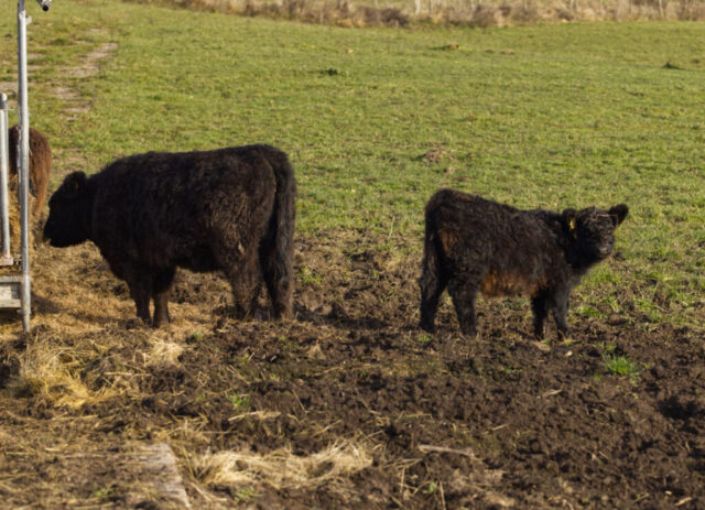 Groß und klein dürfen beisammen sein.