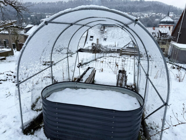 Februar-Garten