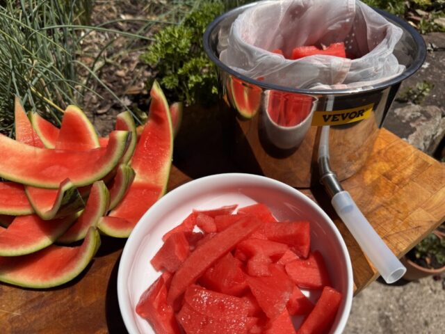 Melone_Saftgewinnung
